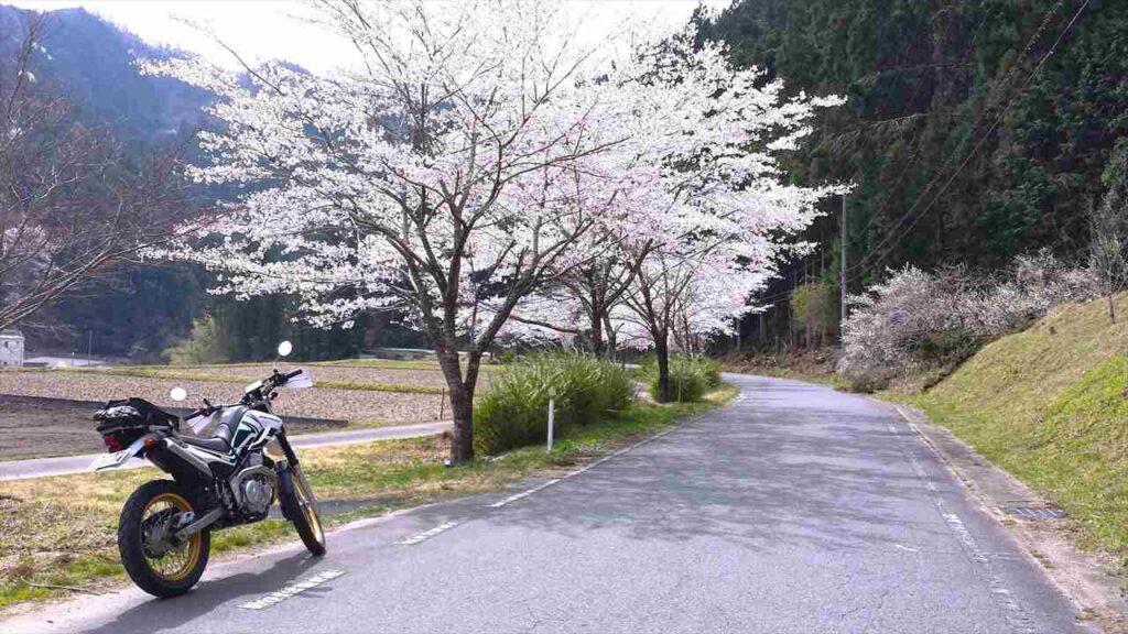 いち早く季節の変化を感じられること