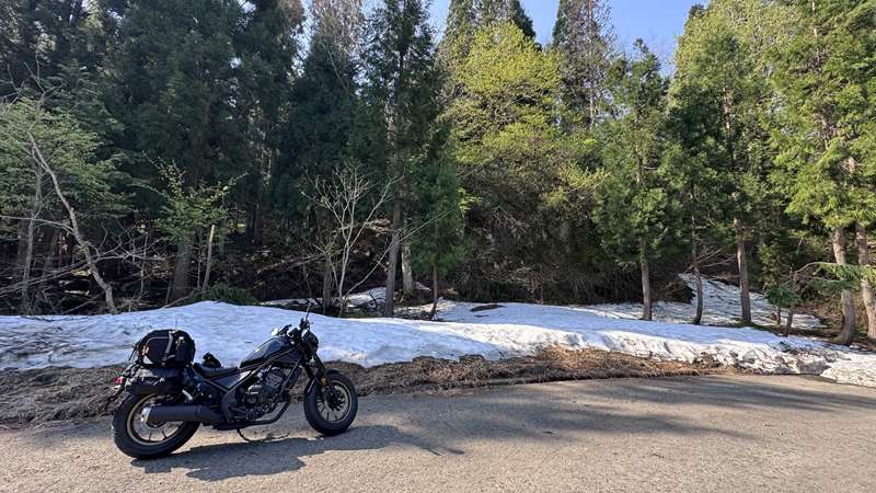 普段使いのバイクが一番楽しい
