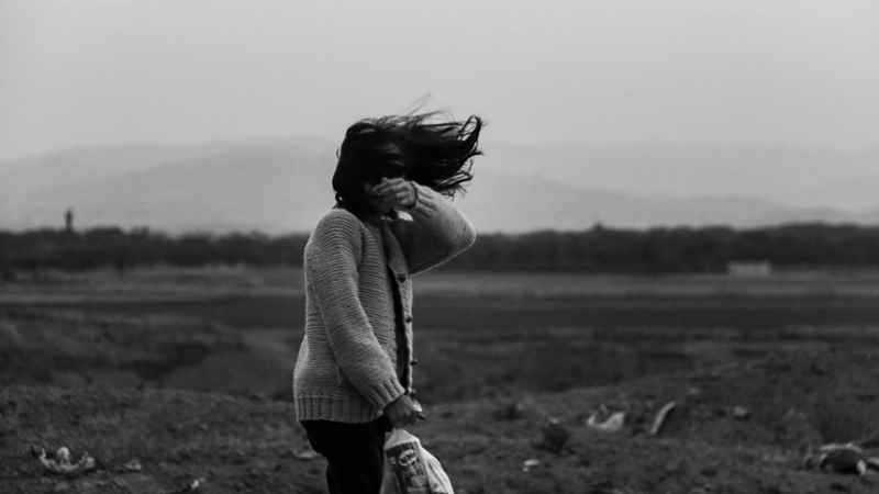 wind