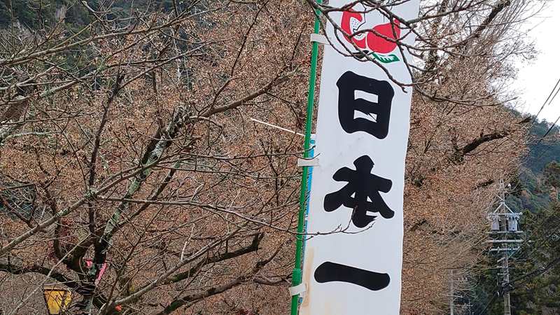日本のガソリン価格は世界的に見て高いのか？
